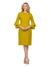 1pc Cowl Neck 3/4 Ruffled Sleeve Dress w/ Brooch
