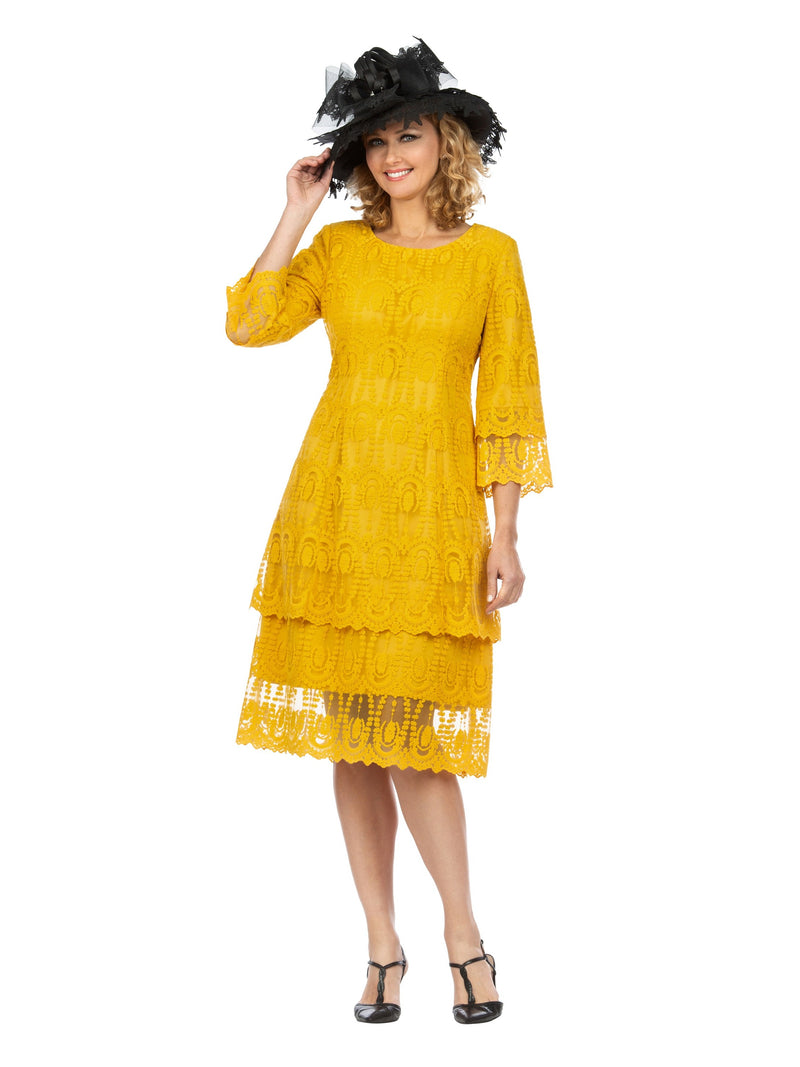 1pc Lux Lace Tiered A-line Dress - Plus